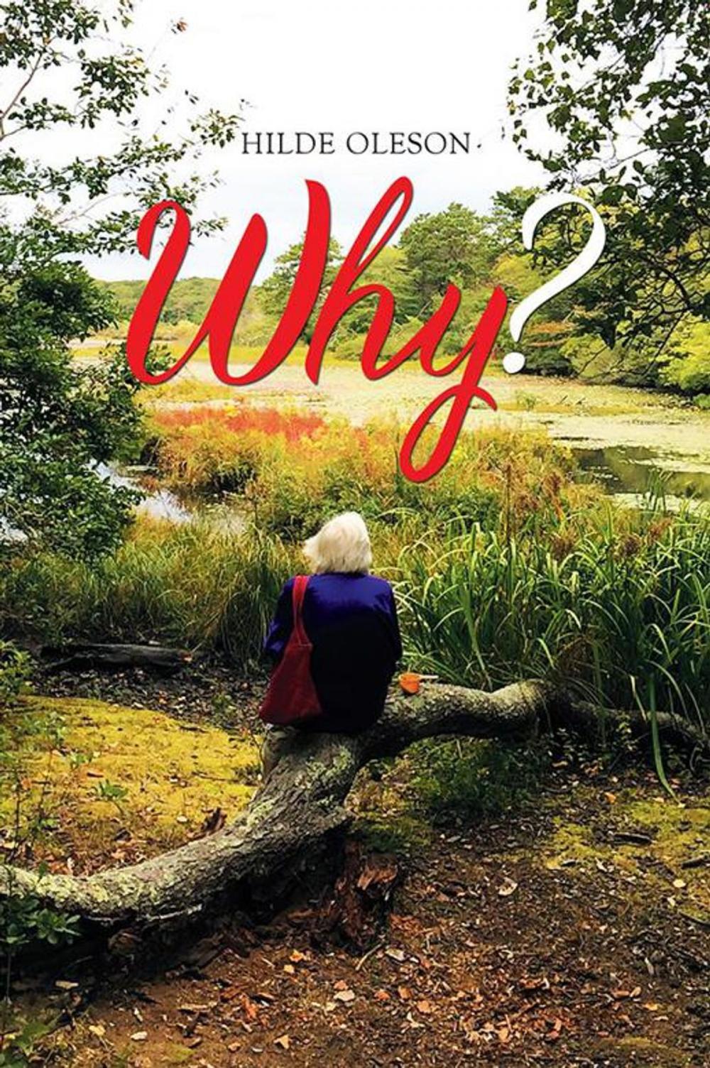 Big bigCover of Why?