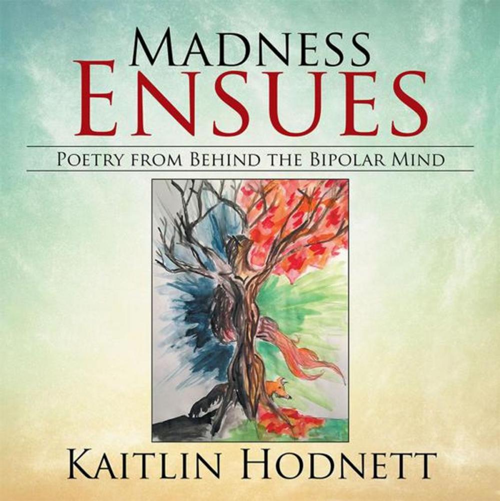 Big bigCover of Madness Ensues: Poetry from Behind the Bipolar Mind