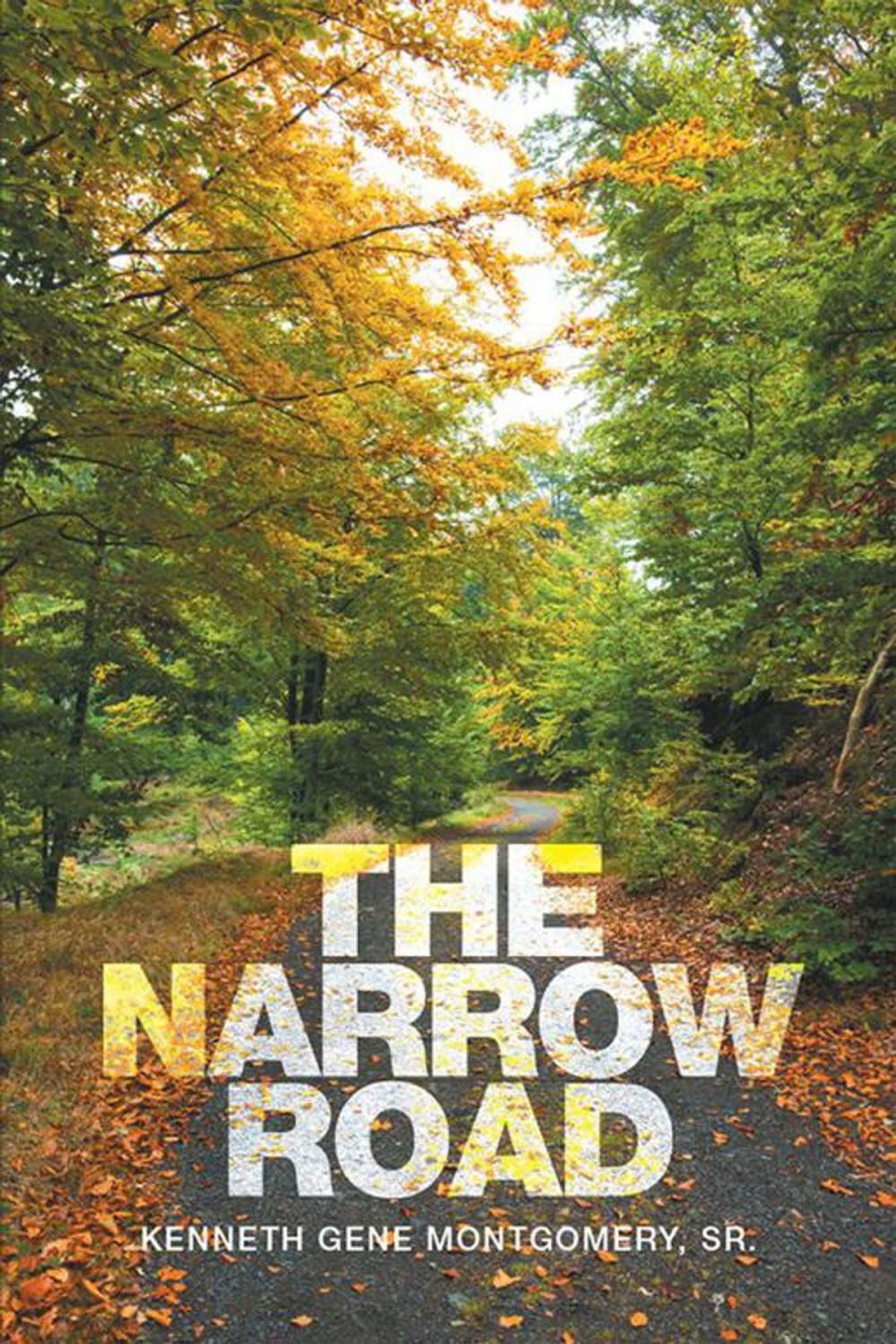 Big bigCover of The Narrow Road