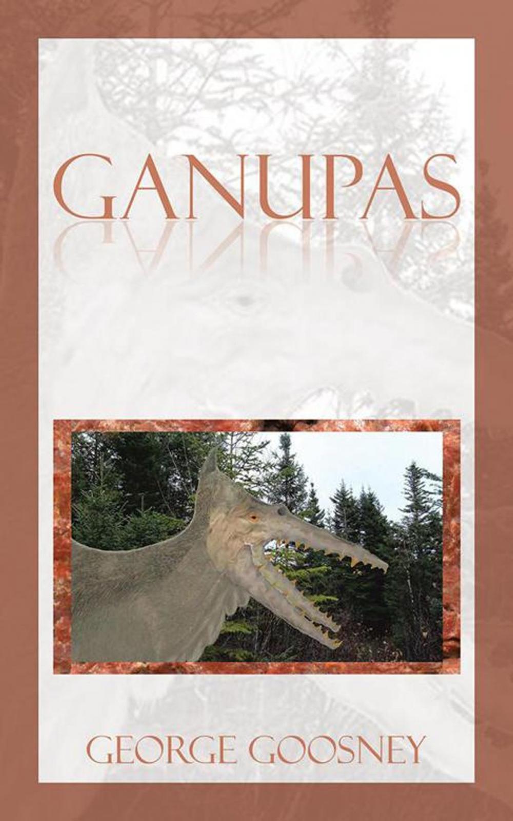 Big bigCover of Ganupas