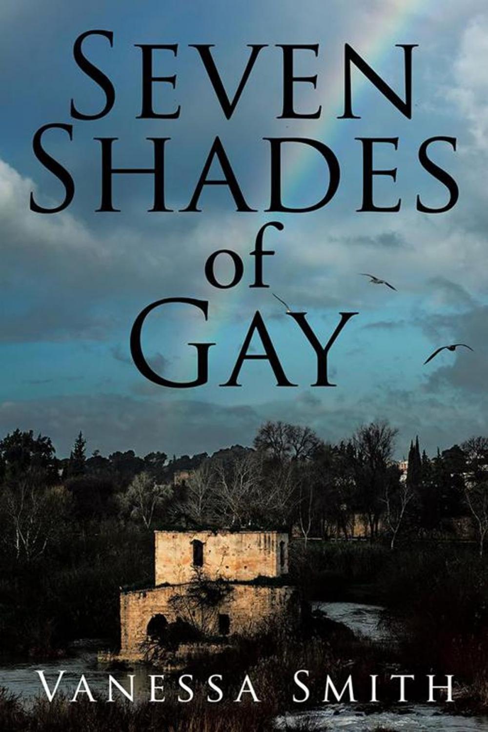 Big bigCover of Seven Shades of Gay