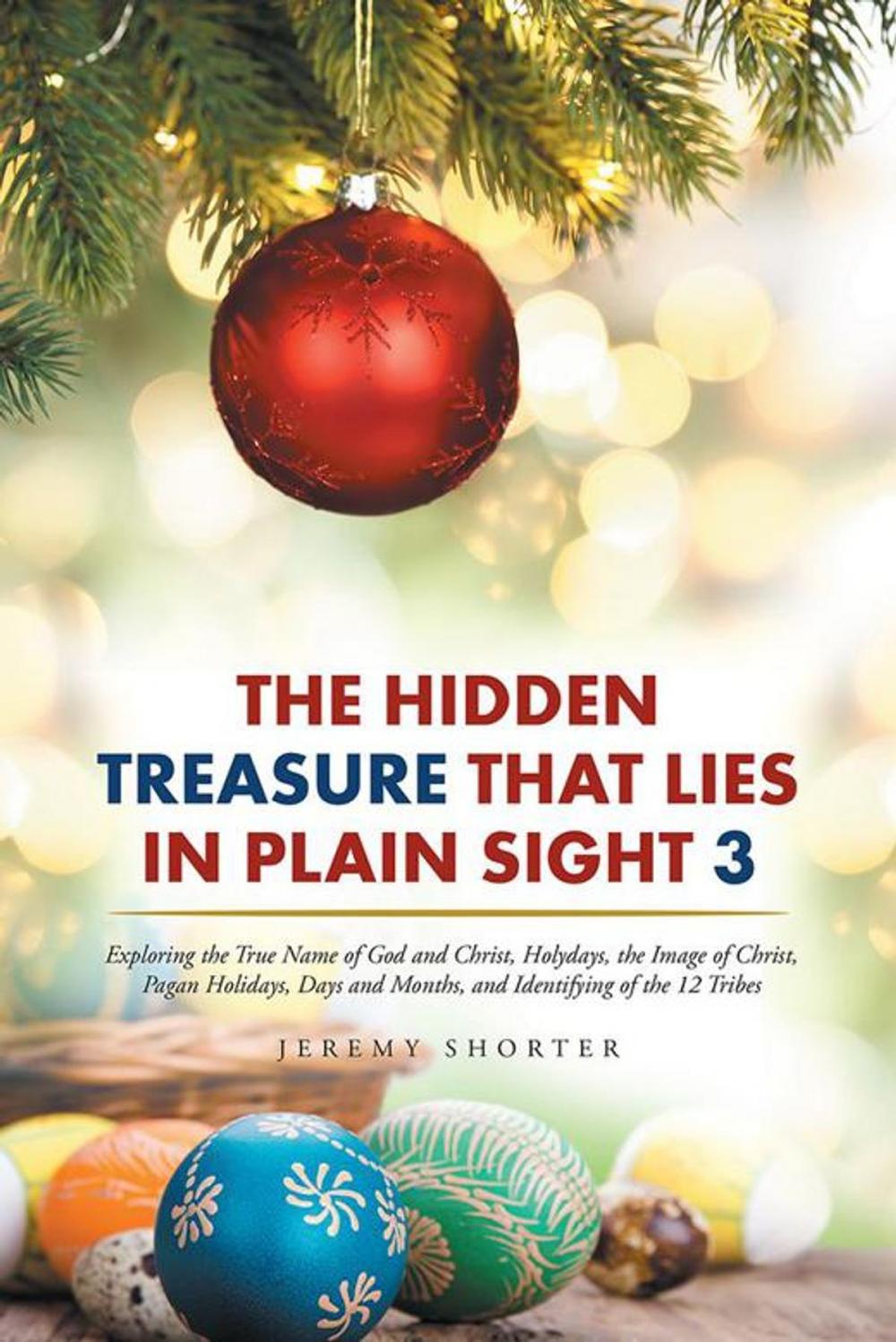 Big bigCover of The Hidden Treasure That Lies in Plain Sight 3