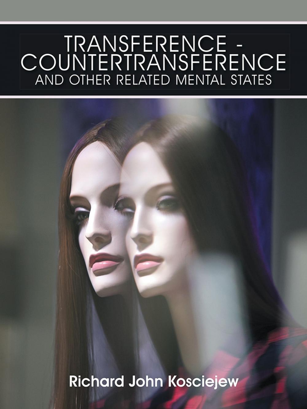 Big bigCover of Transference-Countertransference and Other Related Mental States