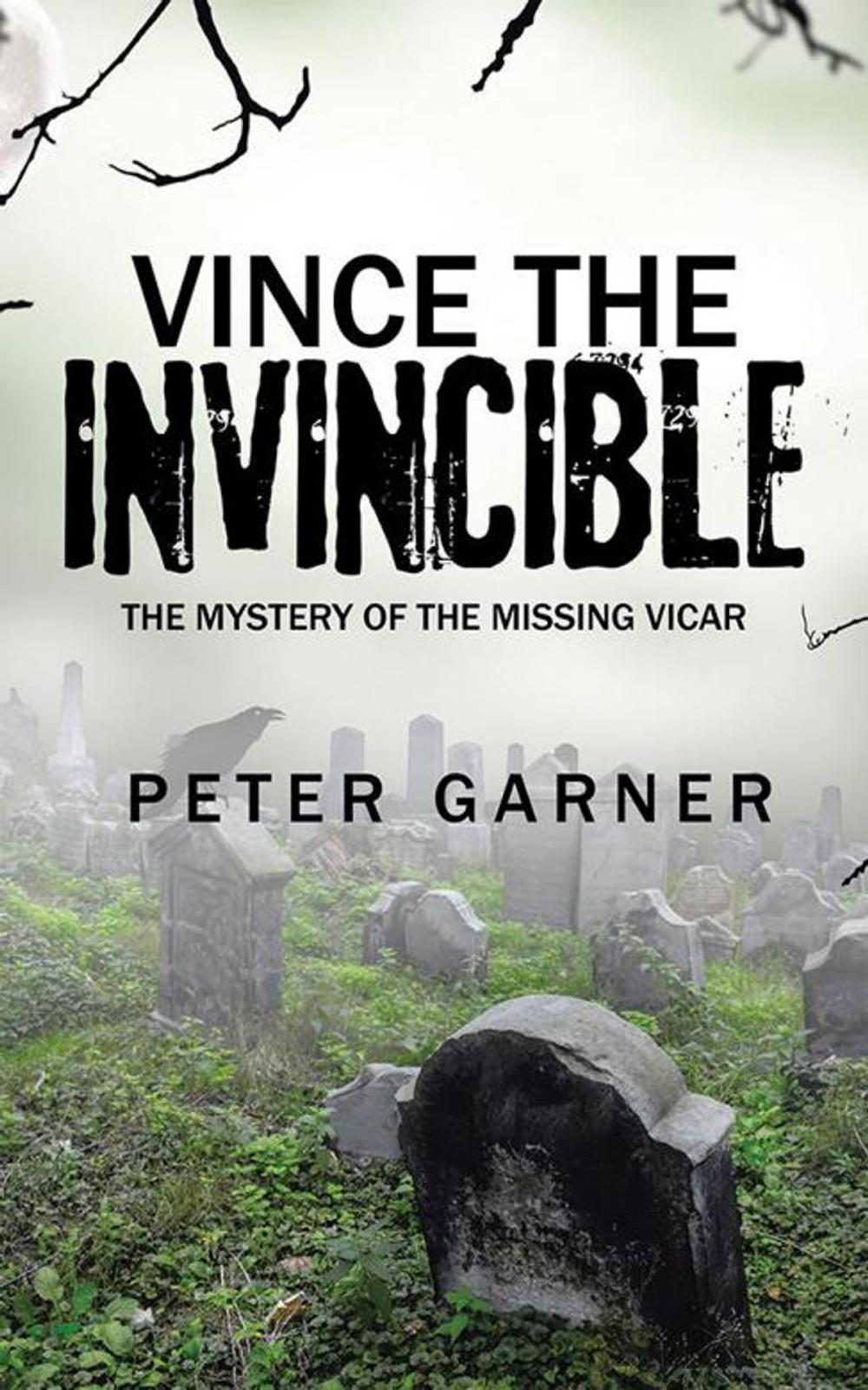 Big bigCover of Vince the Invincible