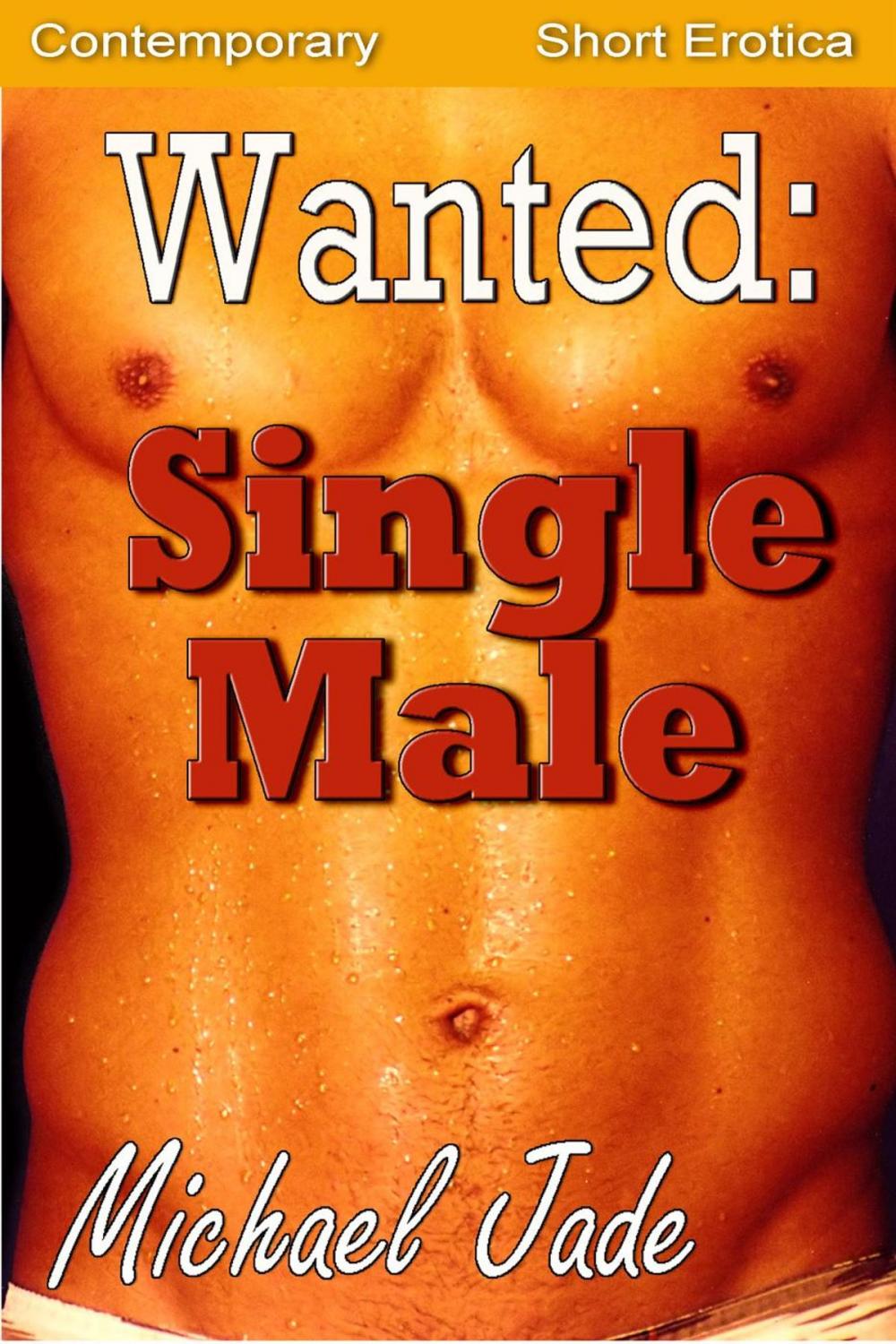 Big bigCover of Wanted: Single Male