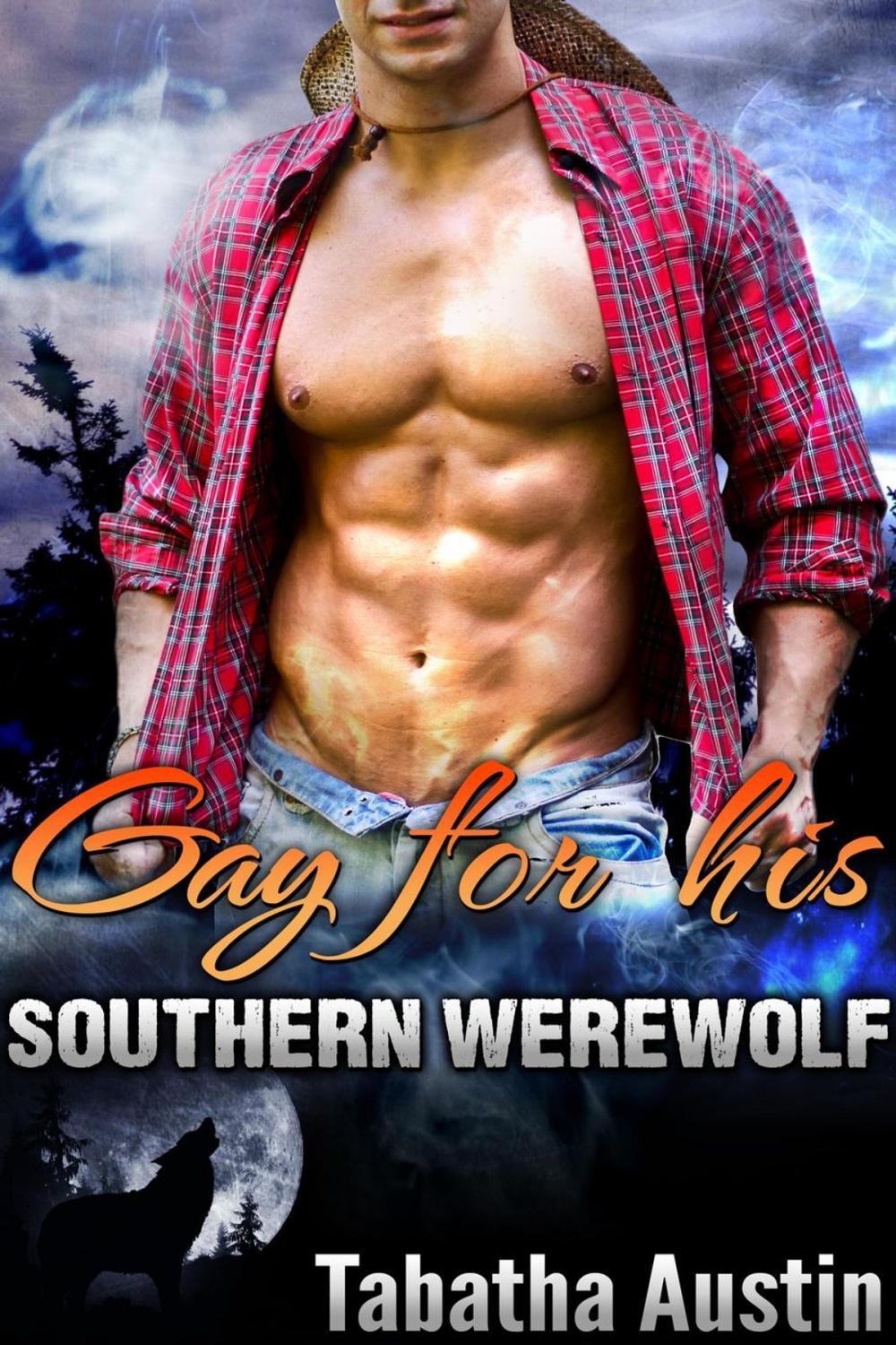 Big bigCover of Gay For His Southern Werewolf