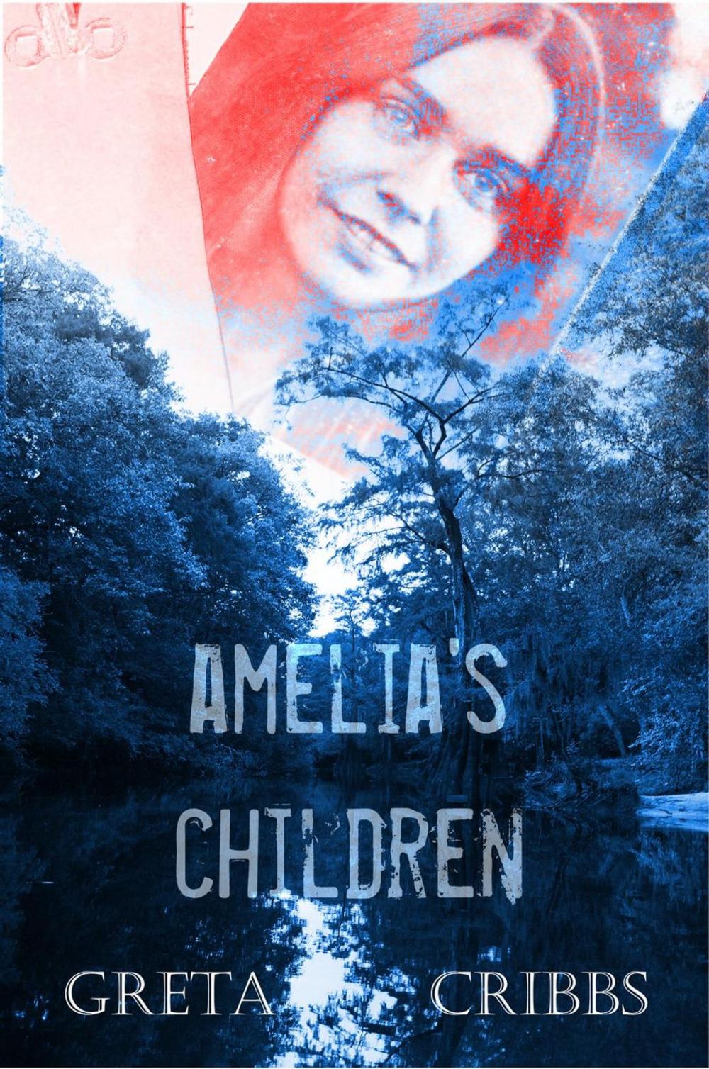 Big bigCover of Amelia's Children