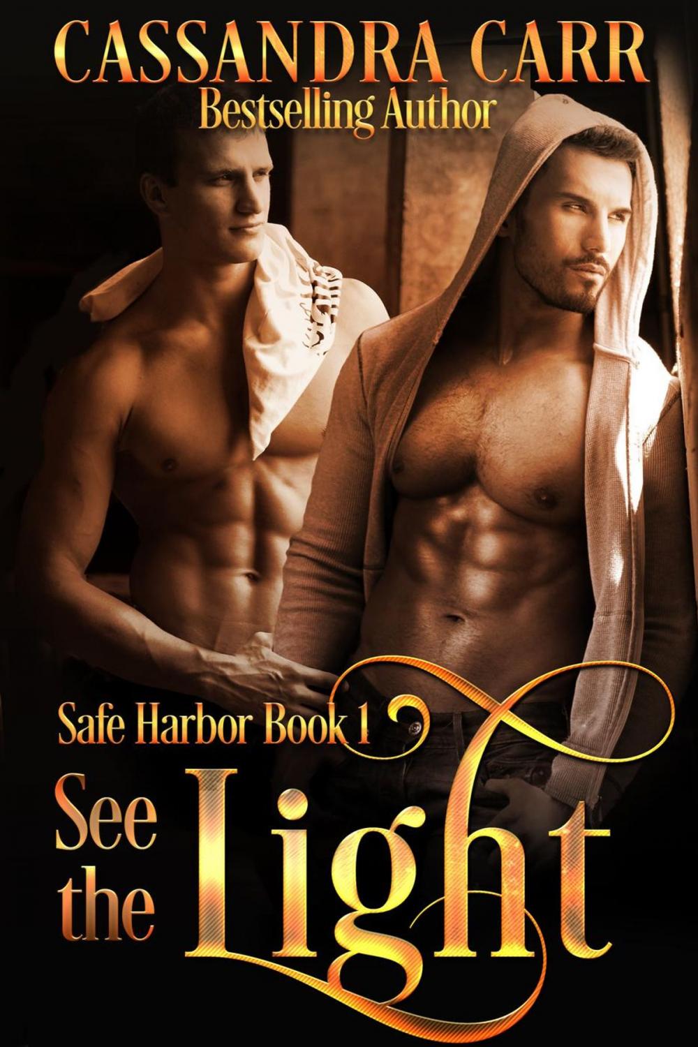 Big bigCover of See the Light (Safe Harbor book 1)