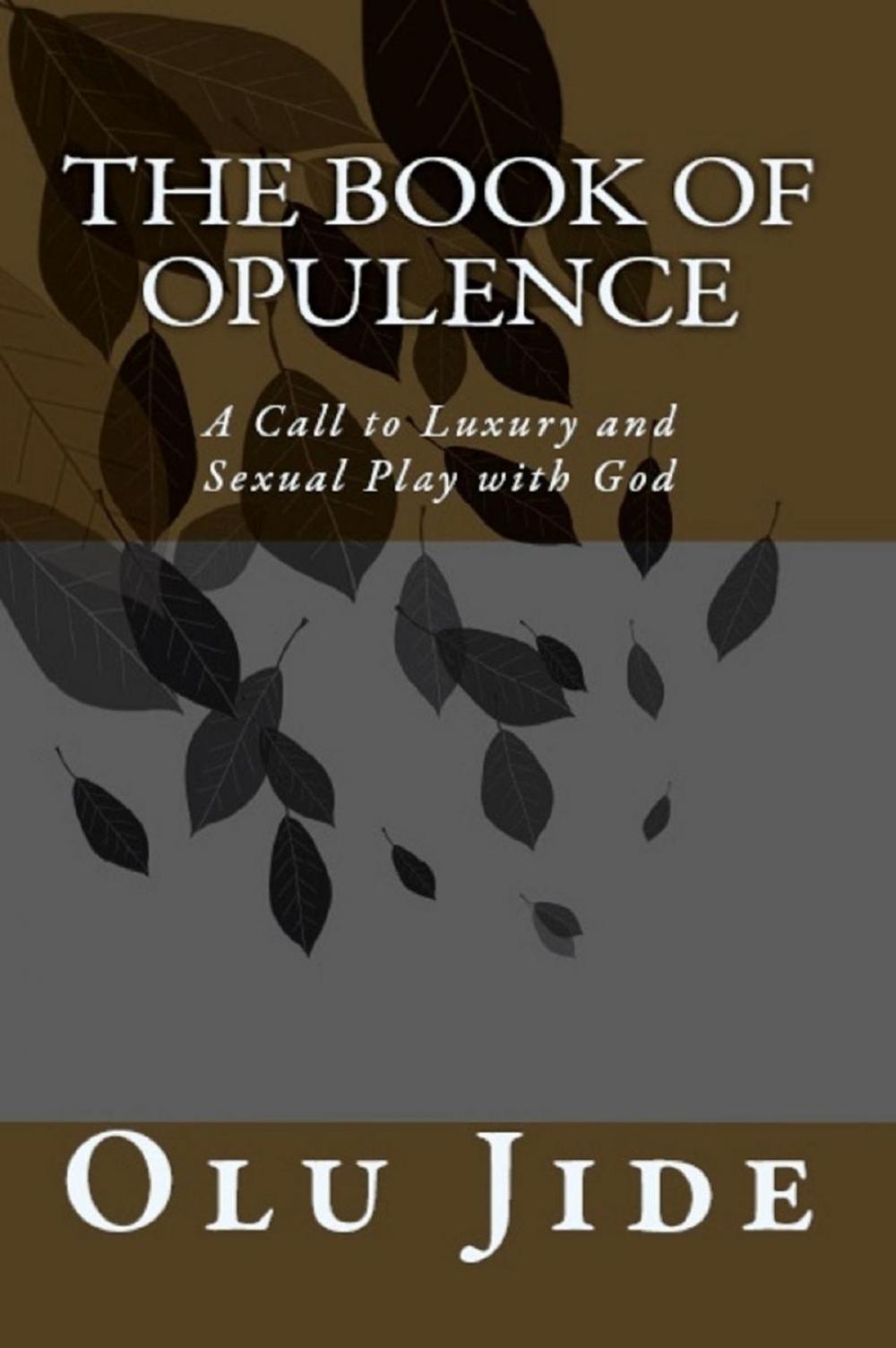 Big bigCover of The Book of Opulence