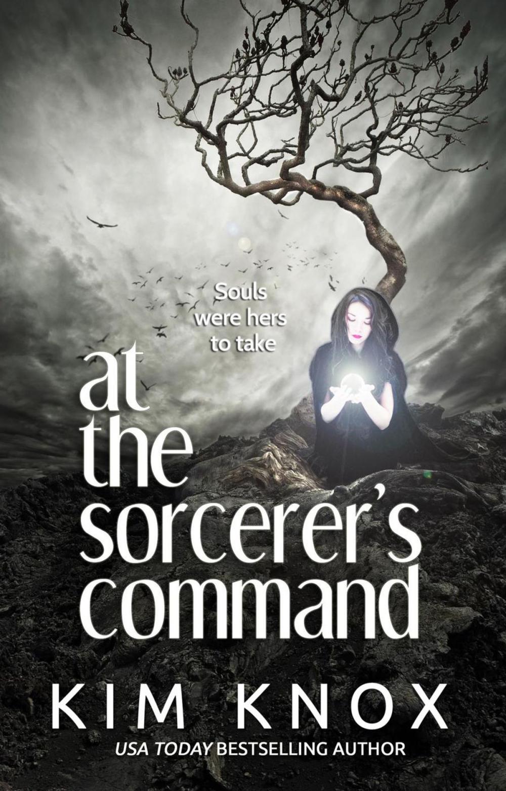 Big bigCover of At the Sorcerer's Command