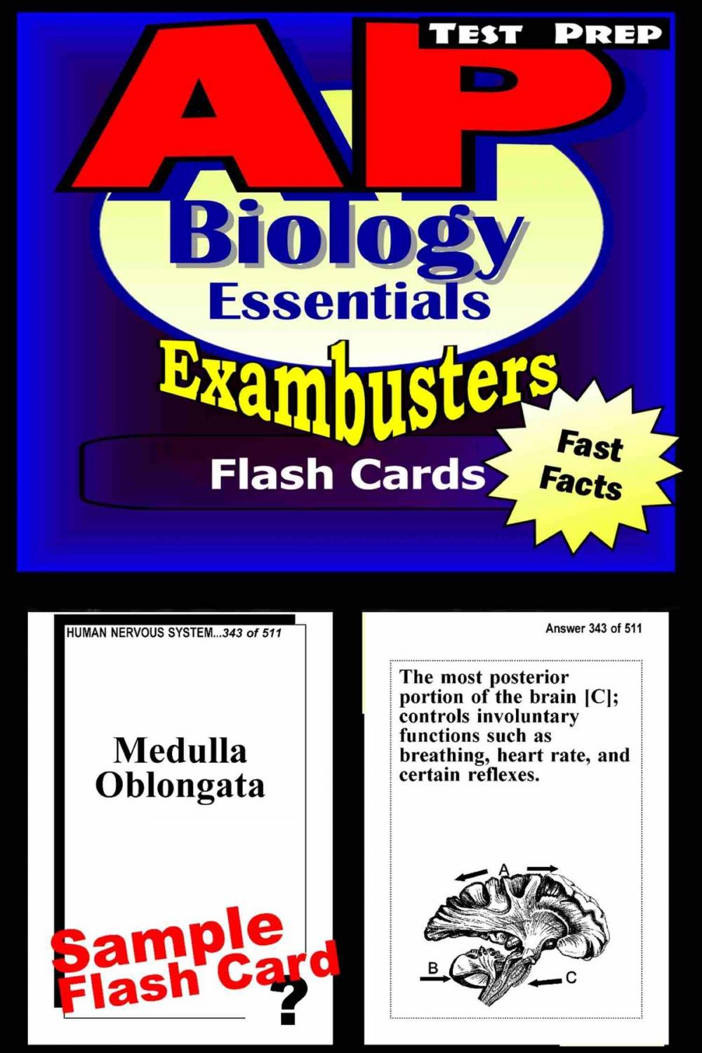 Big bigCover of AP Biology Test Prep Review--Exambusters Flash Cards