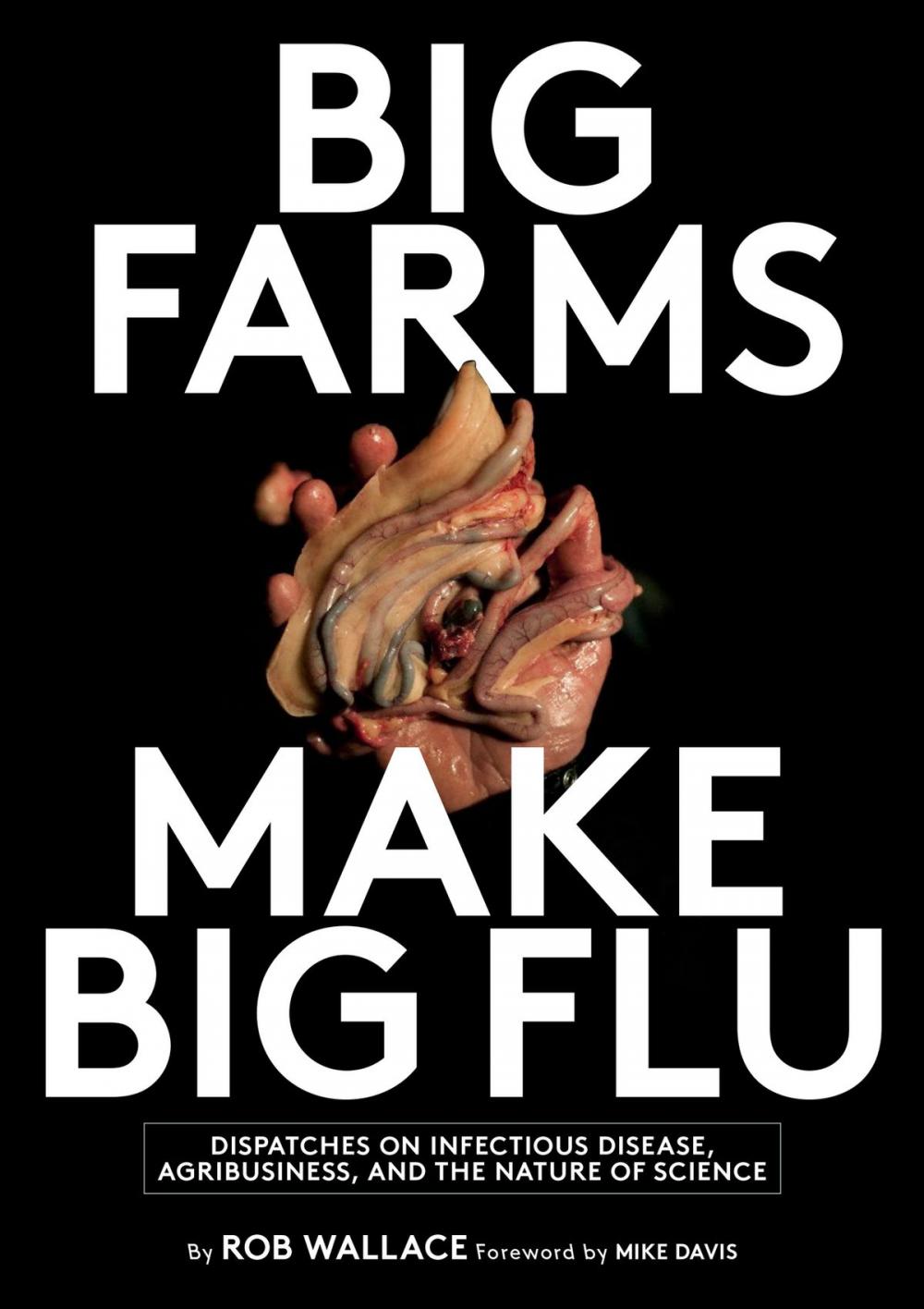 Big bigCover of Big Farms Make Big Flu