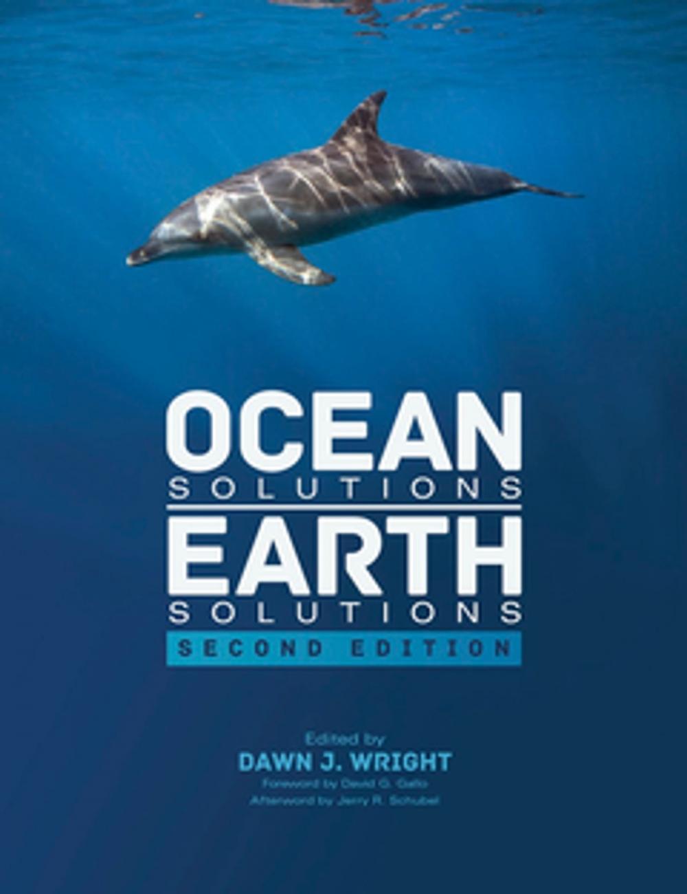 Big bigCover of Ocean Solutions, Earth Solutions