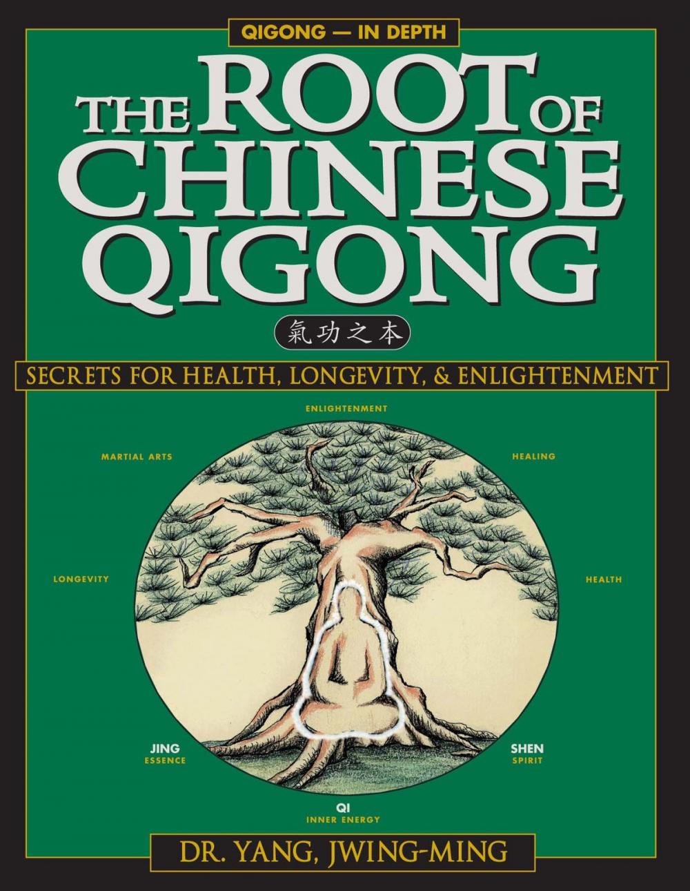 Big bigCover of The Root of Chinese Qigong