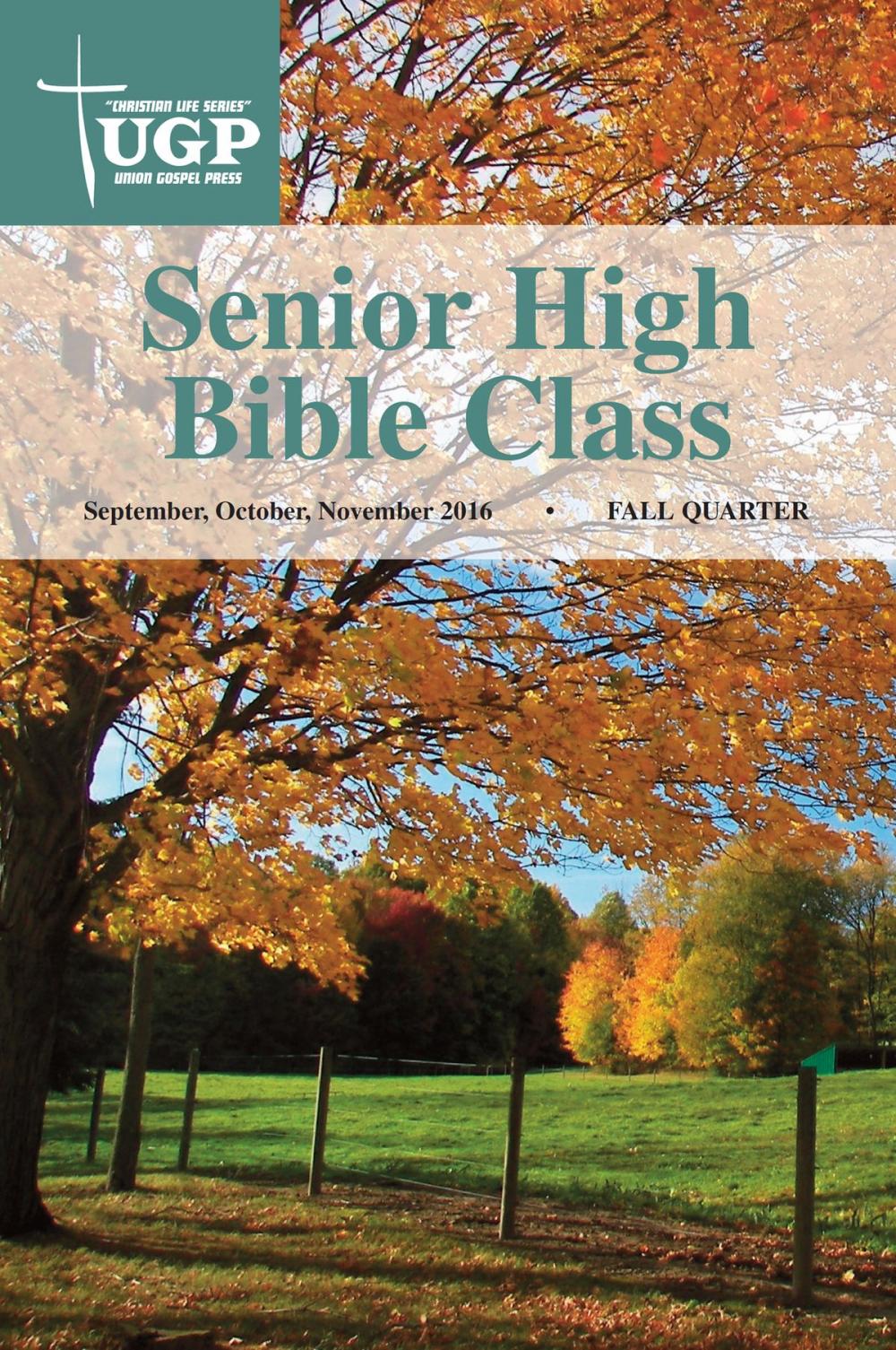 Big bigCover of Senior High Bible Class