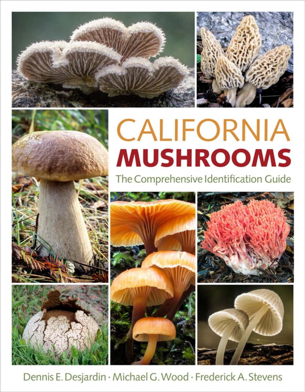 Big bigCover of California Mushrooms