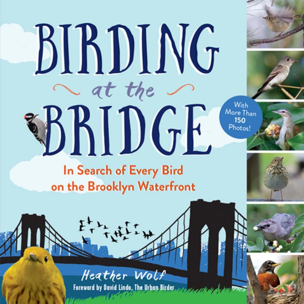 Big bigCover of Birding at the Bridge