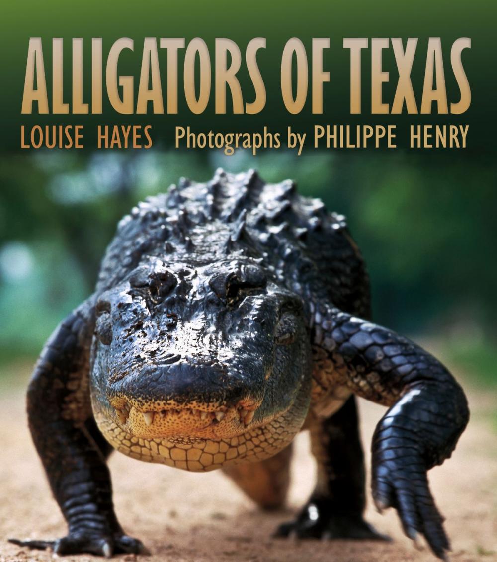 Big bigCover of Alligators of Texas