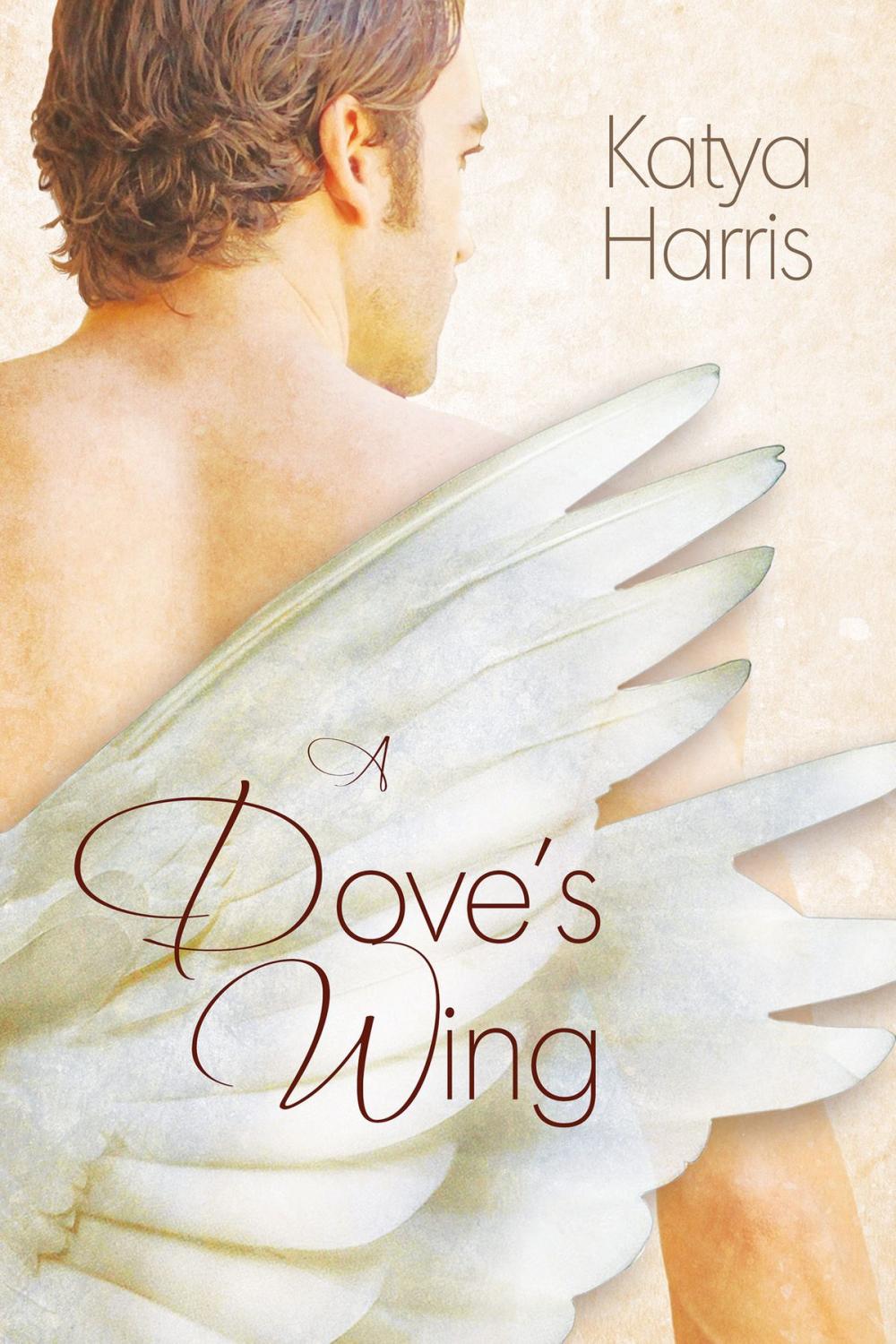 Big bigCover of A Dove's Wing