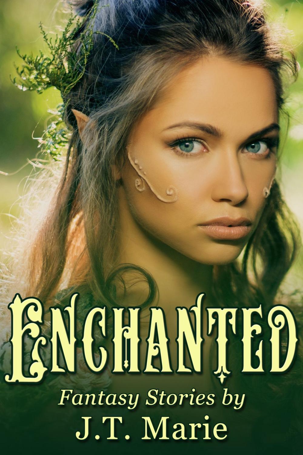 Big bigCover of Enchanted Box Set