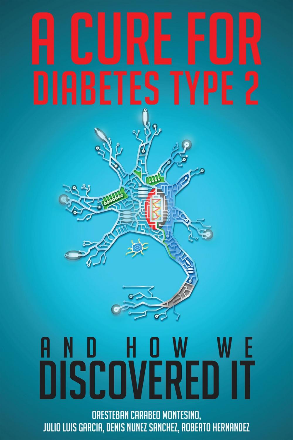 Big bigCover of A Cure for Diabetes Type 2 and How We Discovered It