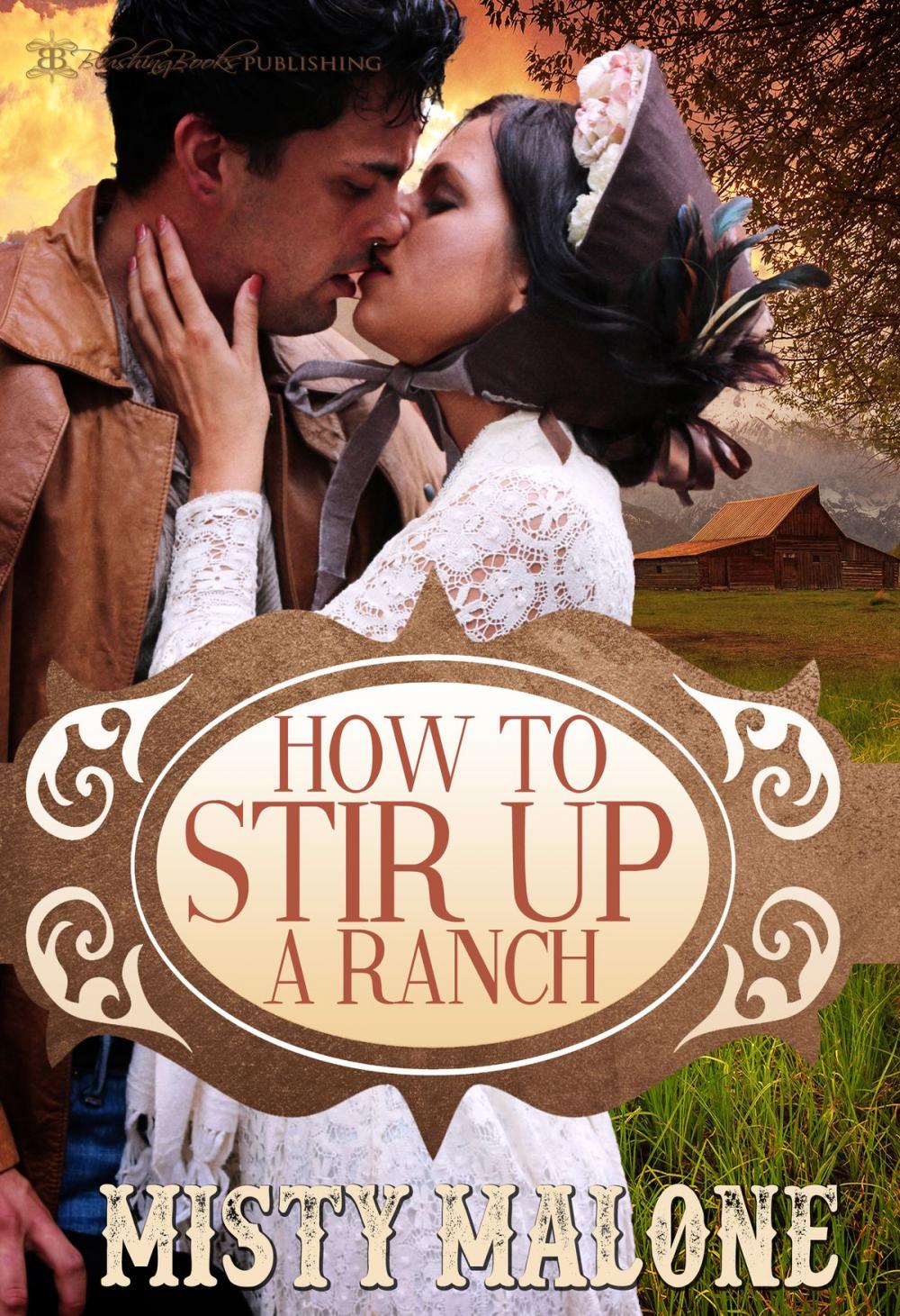 Big bigCover of How to Stir Up a Ranch