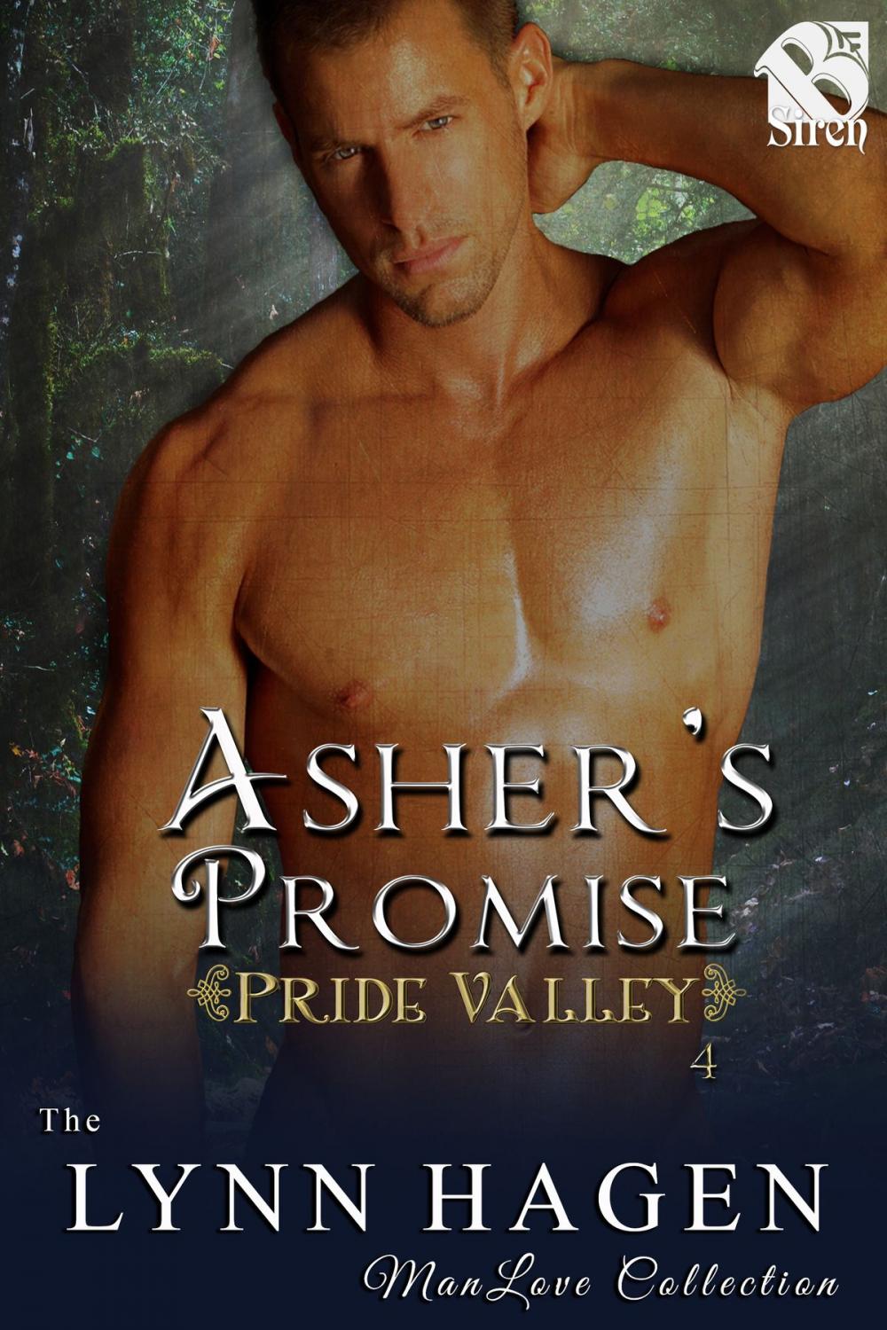 Big bigCover of Asher's Promise