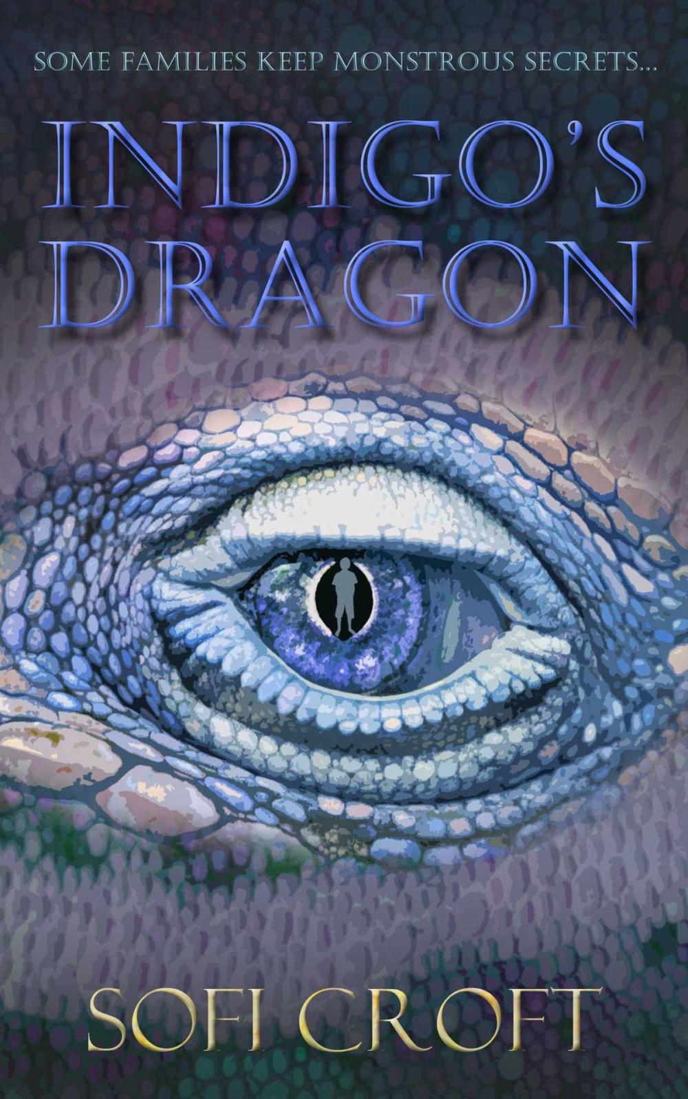 Big bigCover of Indigo's Dragon