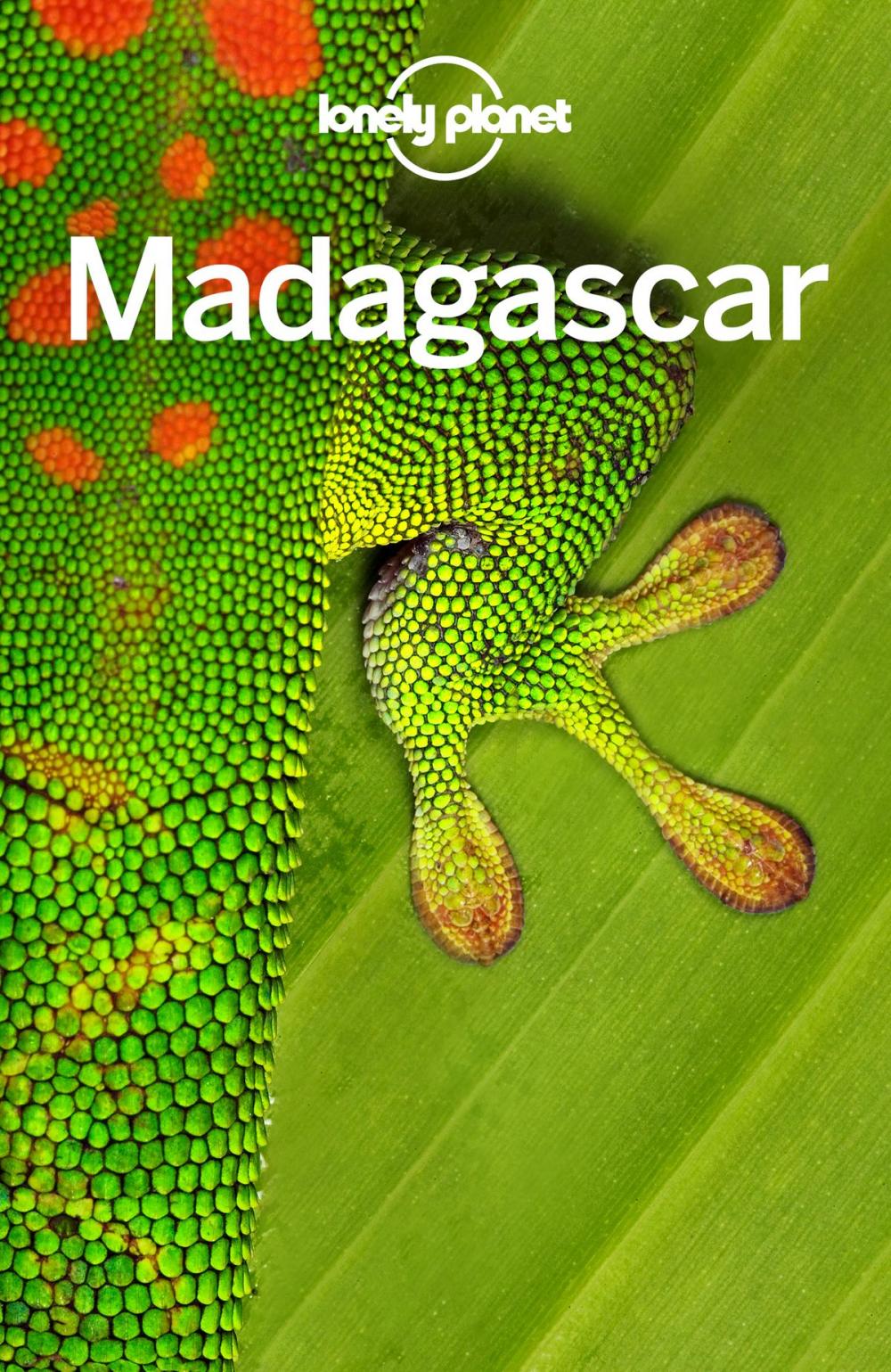 Big bigCover of Lonely Planet Madagascar