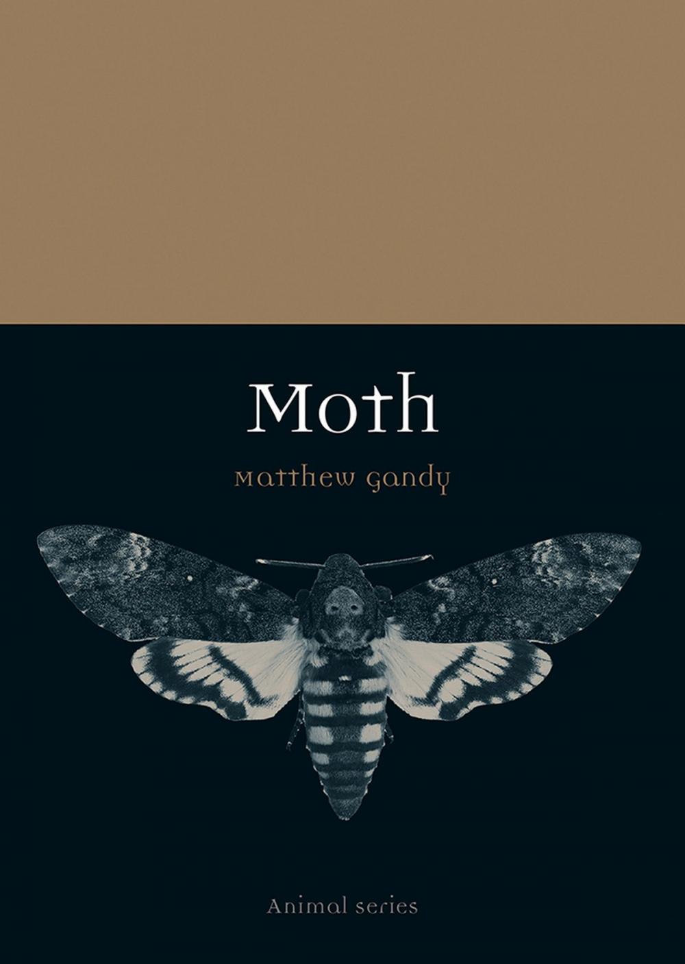 Big bigCover of Moth