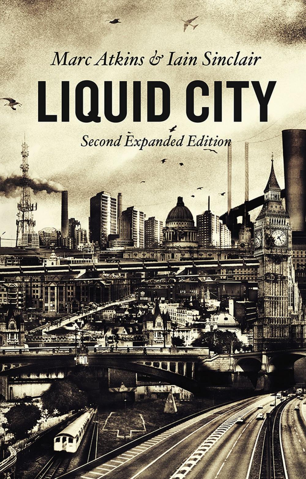 Big bigCover of Liquid City