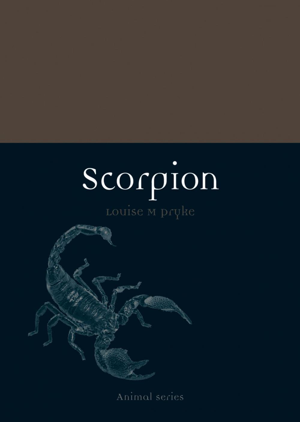 Big bigCover of Scorpion