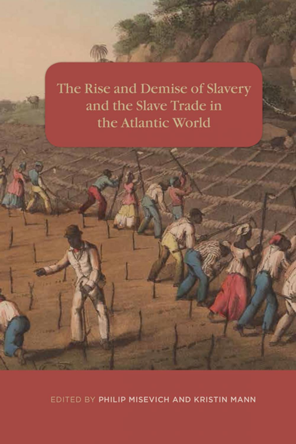 Big bigCover of The Rise and Demise of Slavery and the Slave Trade in the Atlantic World