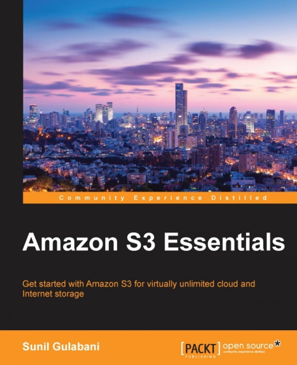 Big bigCover of Amazon S3 Essentials