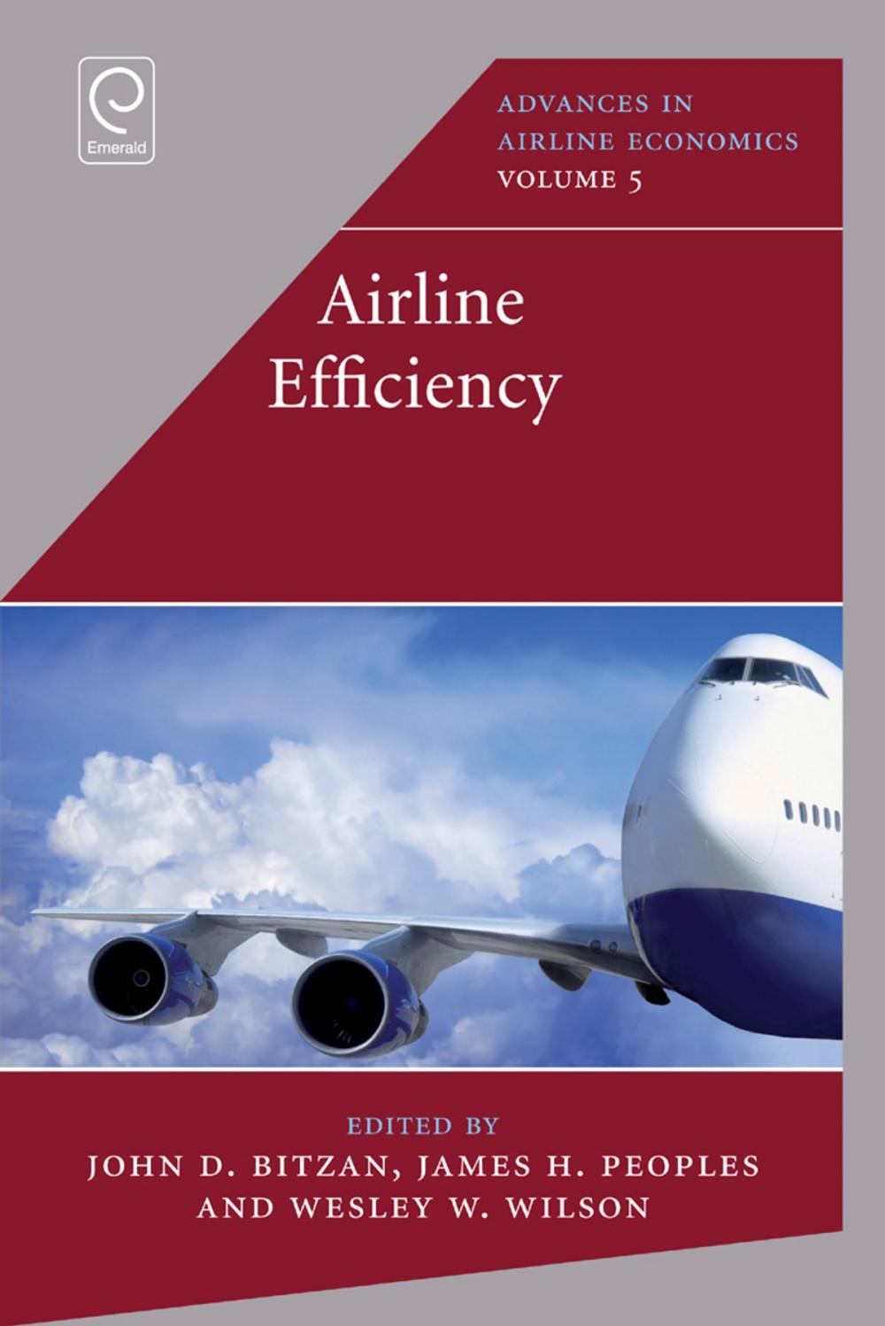 Big bigCover of Airline Efficiency