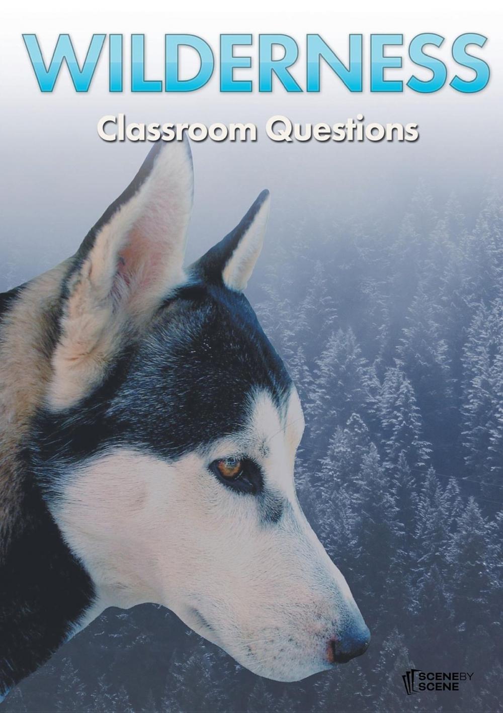 Big bigCover of Wilderness Classroom Questions