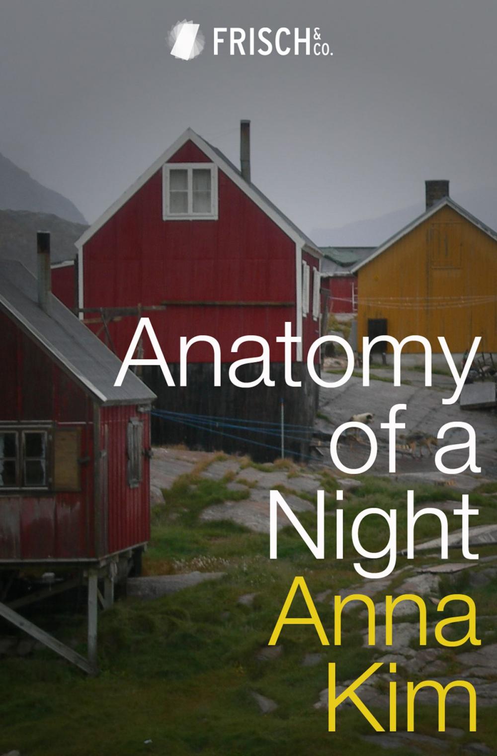 Big bigCover of Anatomy of a Night