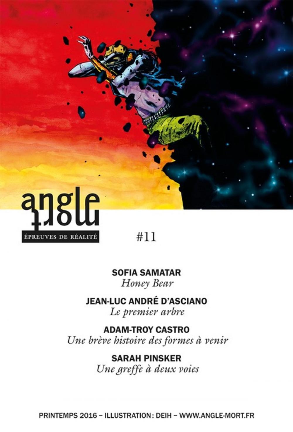 Big bigCover of Angle Mort numéro 11