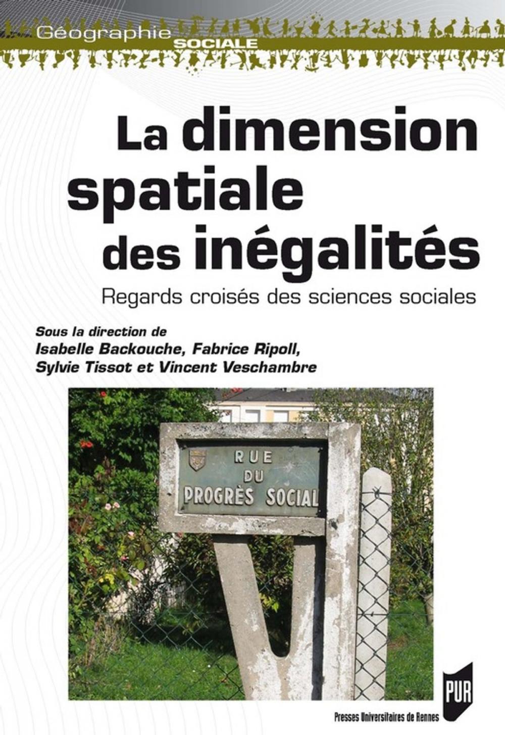 Big bigCover of Dimension spatiale des inégalités