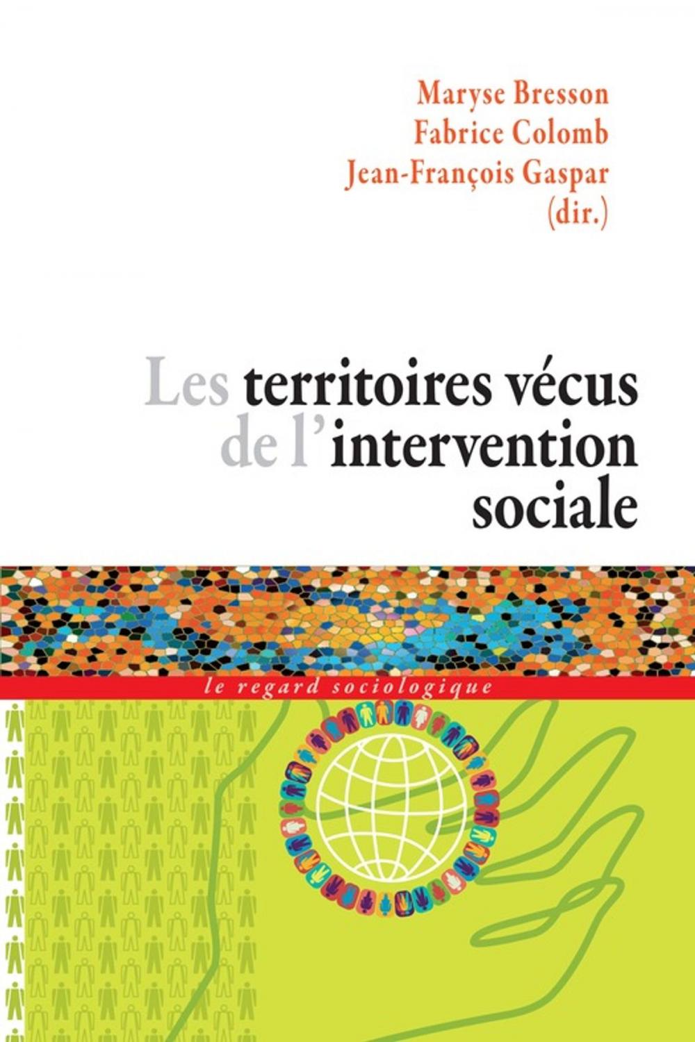 Big bigCover of Les territoires vécus de l'intervention sociale