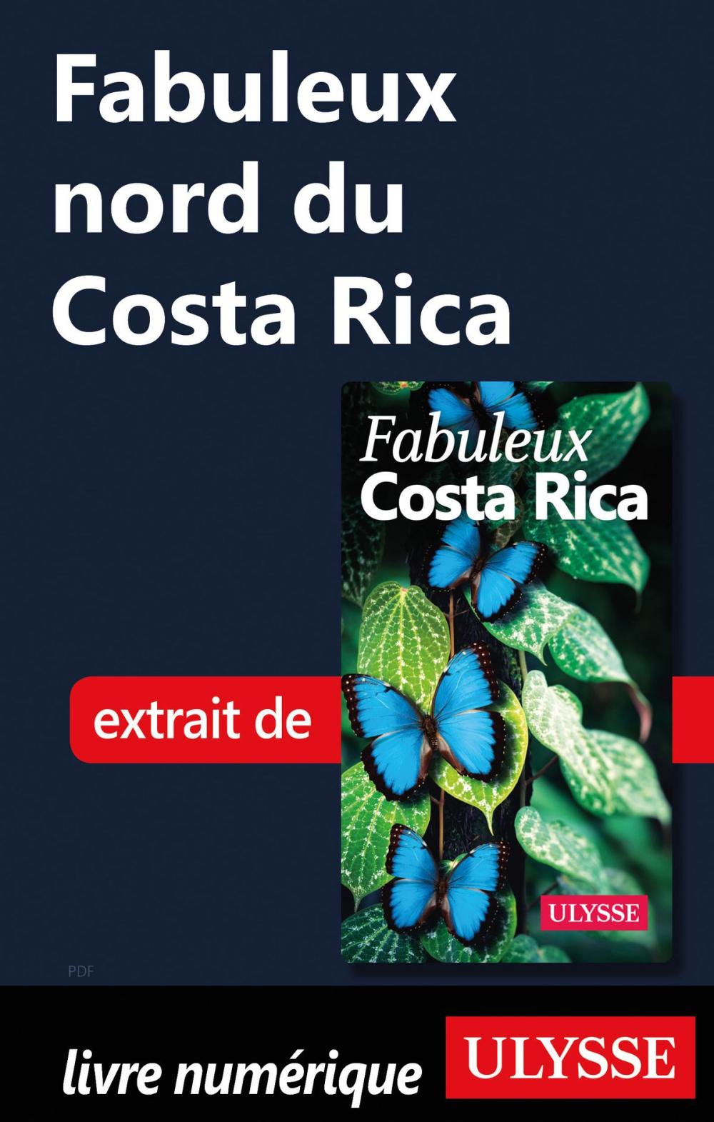 Big bigCover of Fabuleux nord du Costa Rica