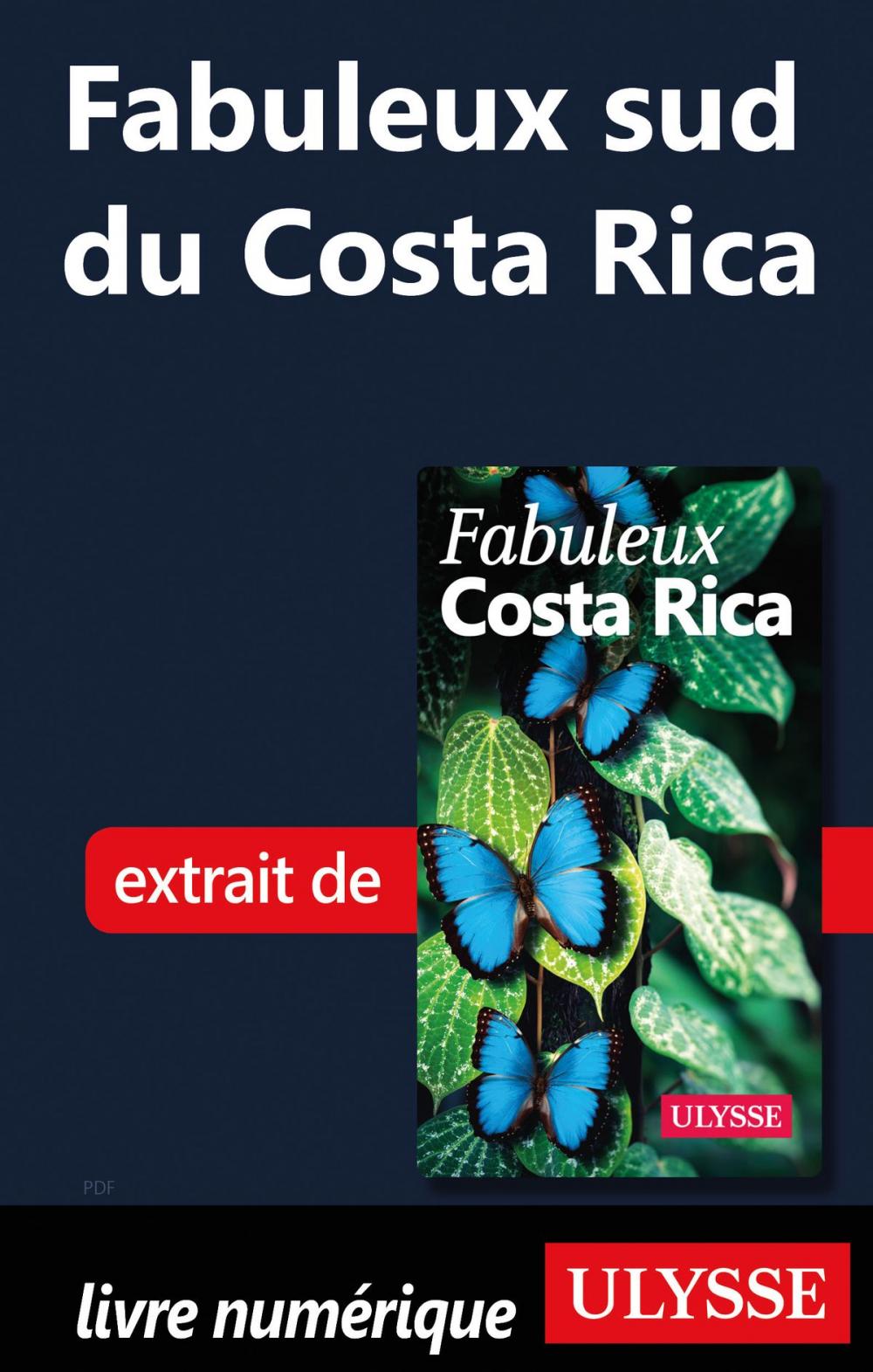 Big bigCover of Fabuleux sud du Costa Rica