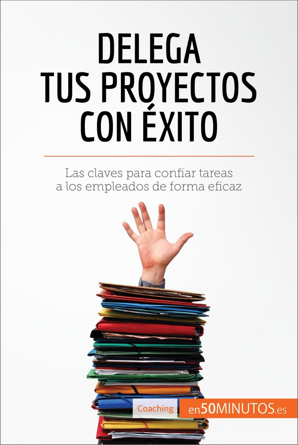 Big bigCover of Delega tus proyectos con éxito