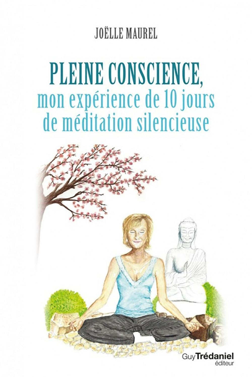 Big bigCover of Pleine conscience