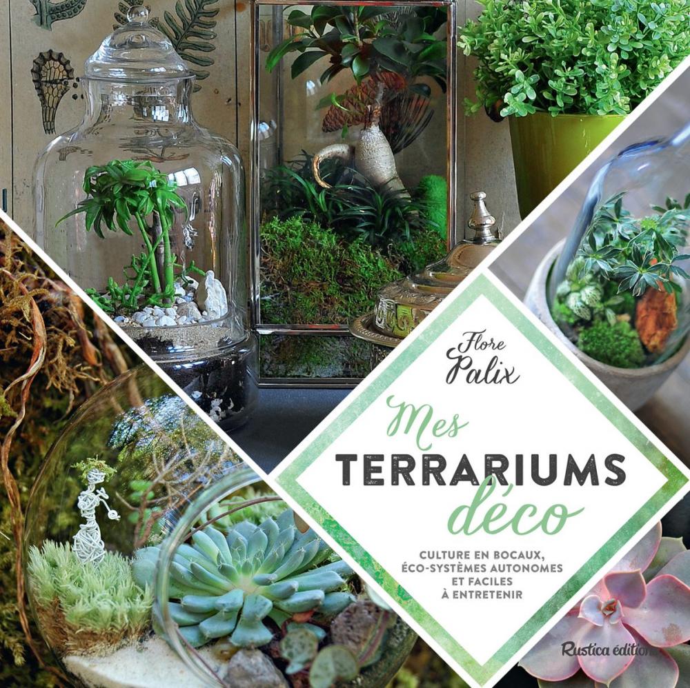 Big bigCover of Mes terrariums déco