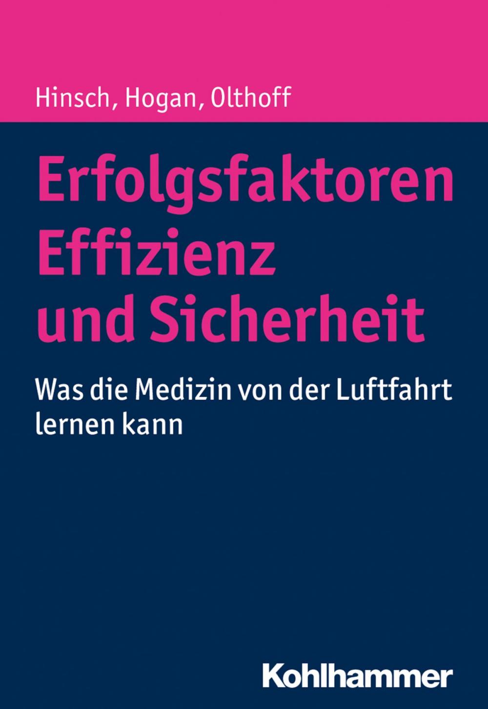 Big bigCover of Erfolgsfaktoren Effizienz und Sicherheit