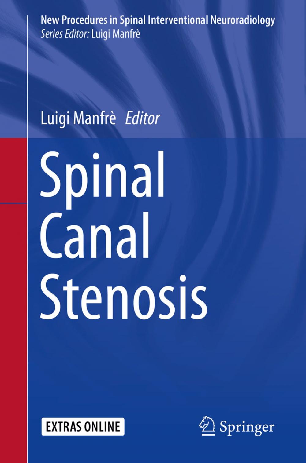 Big bigCover of Spinal Canal Stenosis