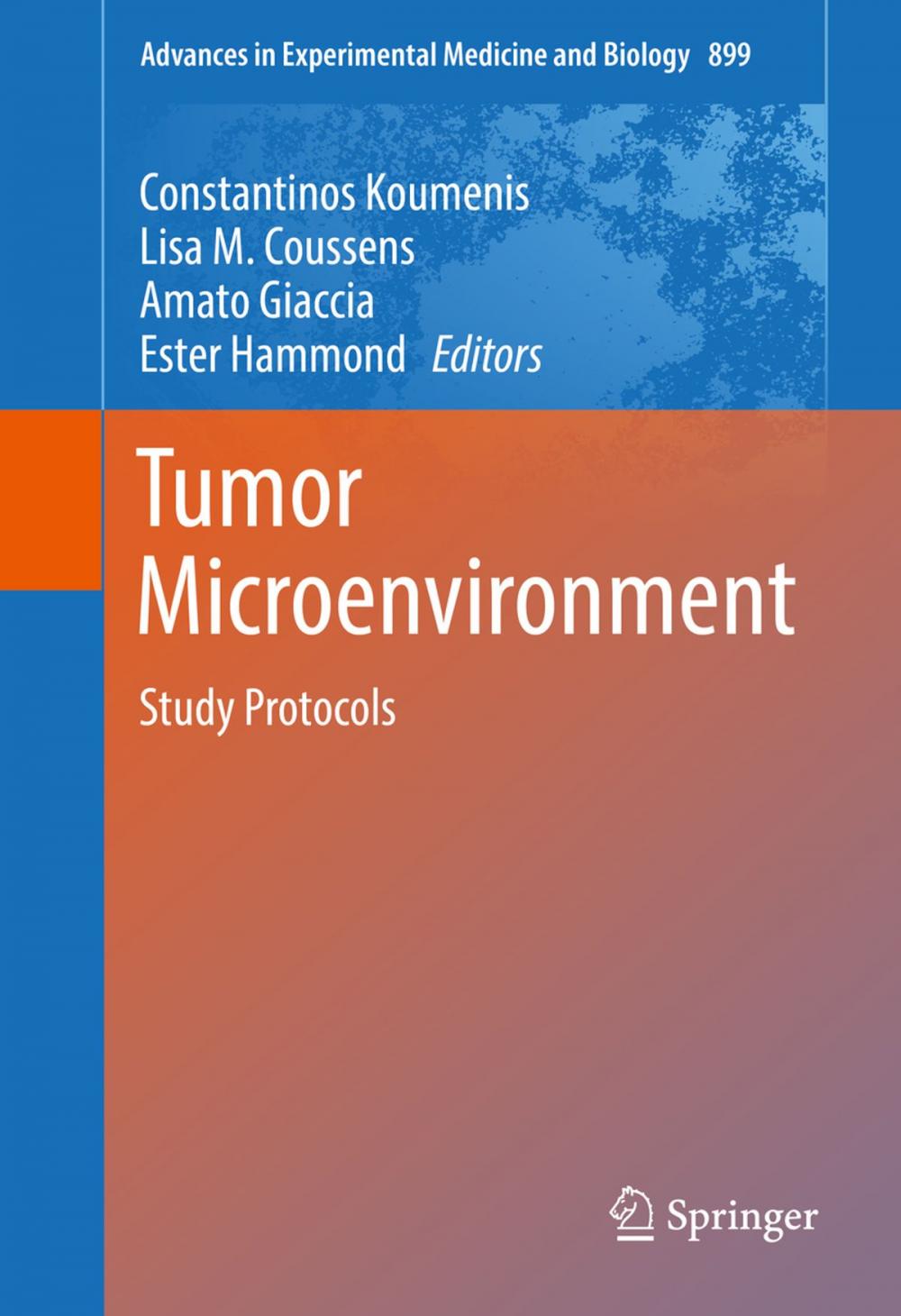 Big bigCover of Tumor Microenvironment