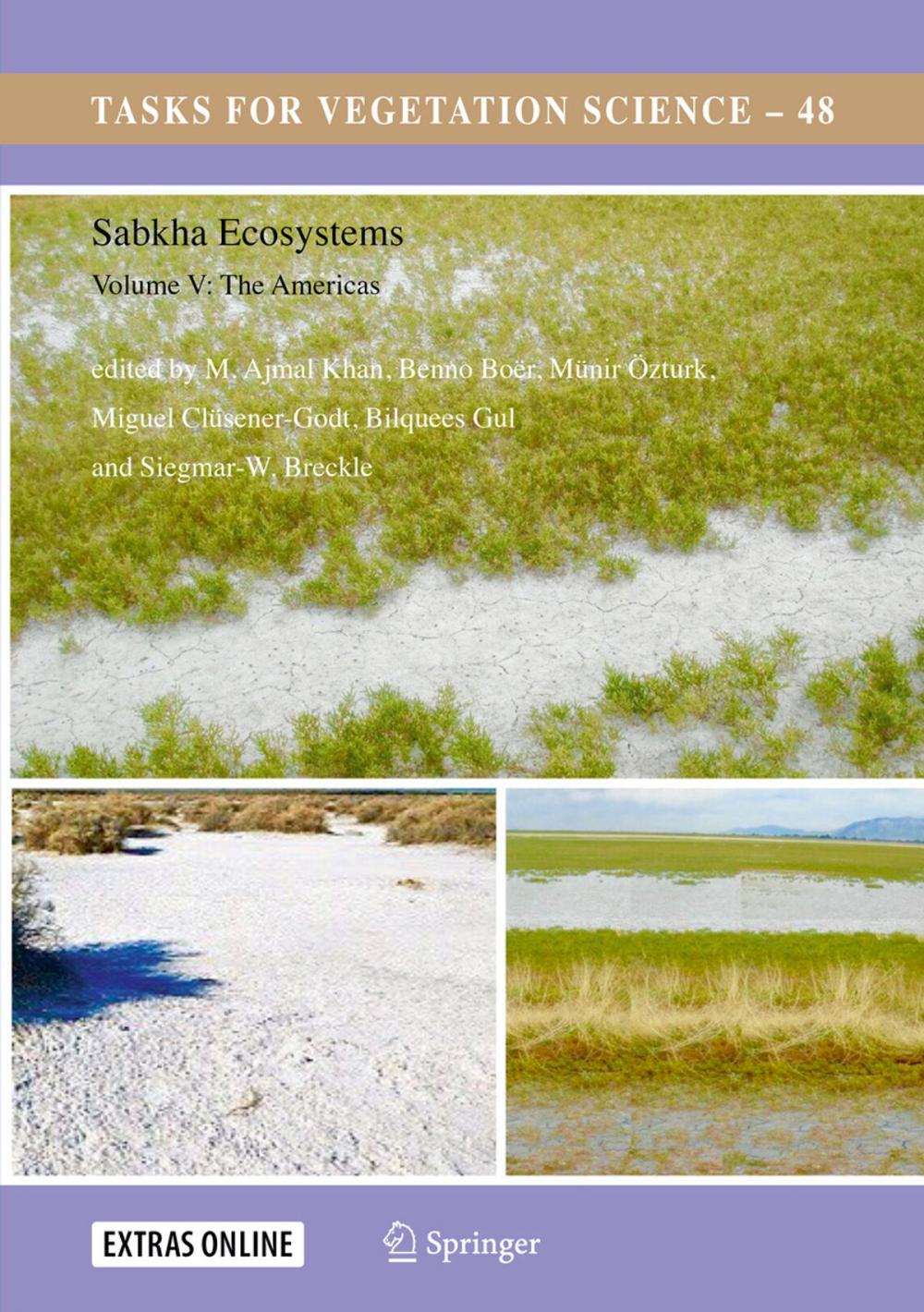Big bigCover of Sabkha Ecosystems