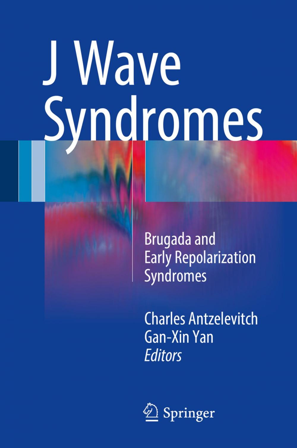 Big bigCover of J Wave Syndromes